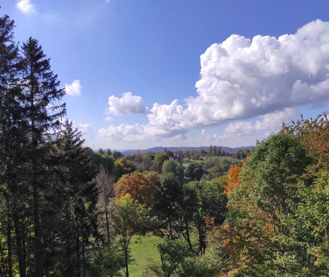 Fewo Harzer Weitblick, Hunde Willkommen, W-Lan, 2X Smart Tv, Dtv 4 Sterne, 4 Pfoten Braunlage Buitenkant foto