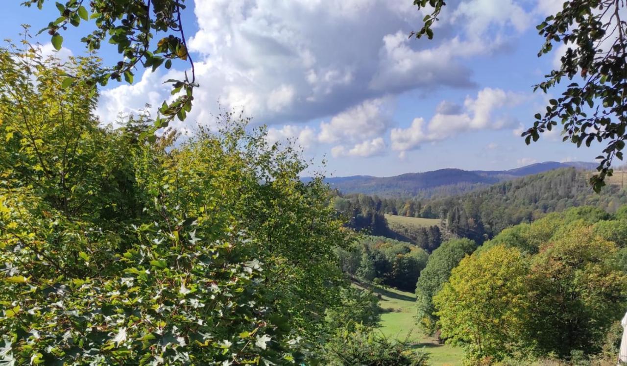 Fewo Harzer Weitblick, Hunde Willkommen, W-Lan, 2X Smart Tv, Dtv 4 Sterne, 4 Pfoten Braunlage Buitenkant foto