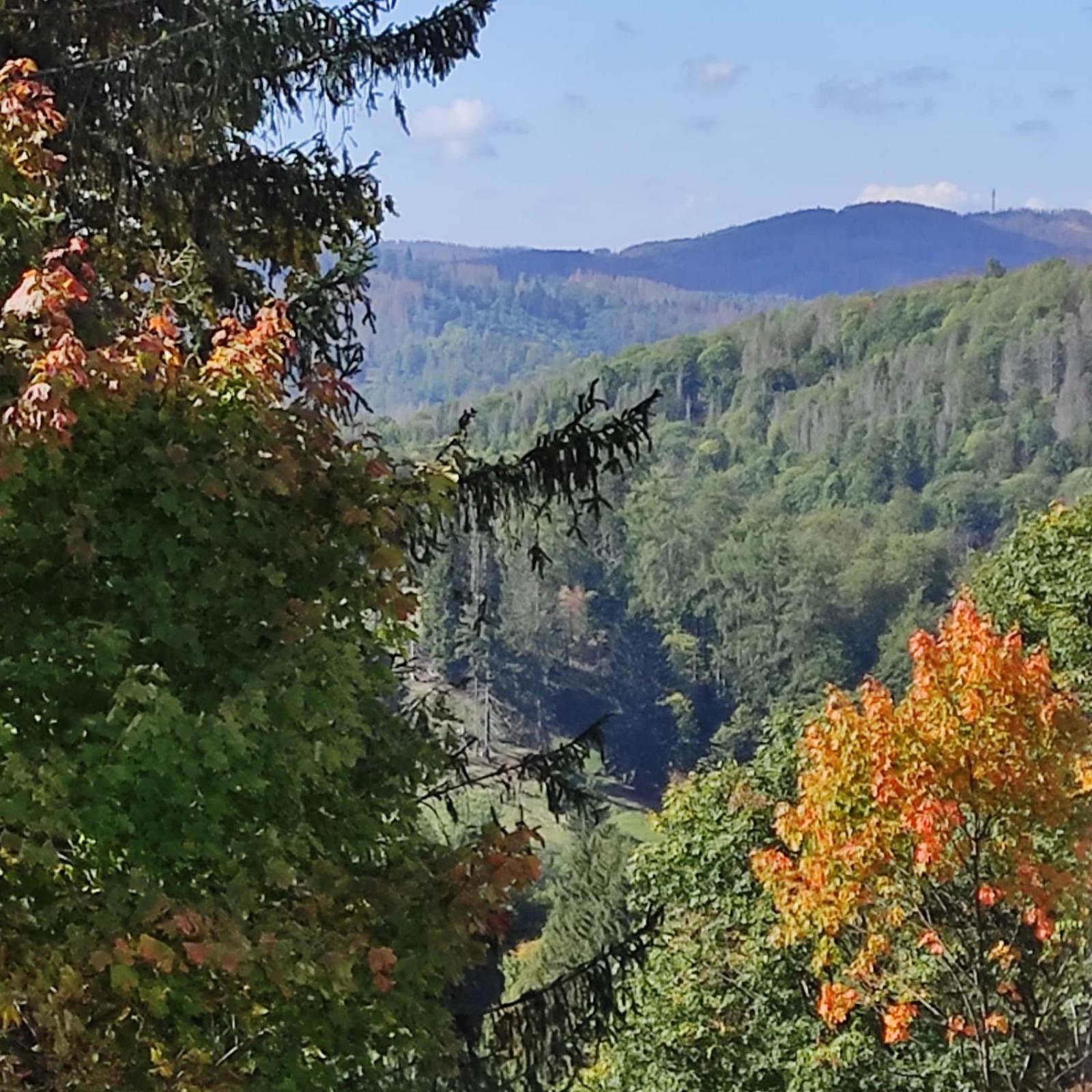 Fewo Harzer Weitblick, Hunde Willkommen, W-Lan, 2X Smart Tv, Dtv 4 Sterne, 4 Pfoten Braunlage Buitenkant foto