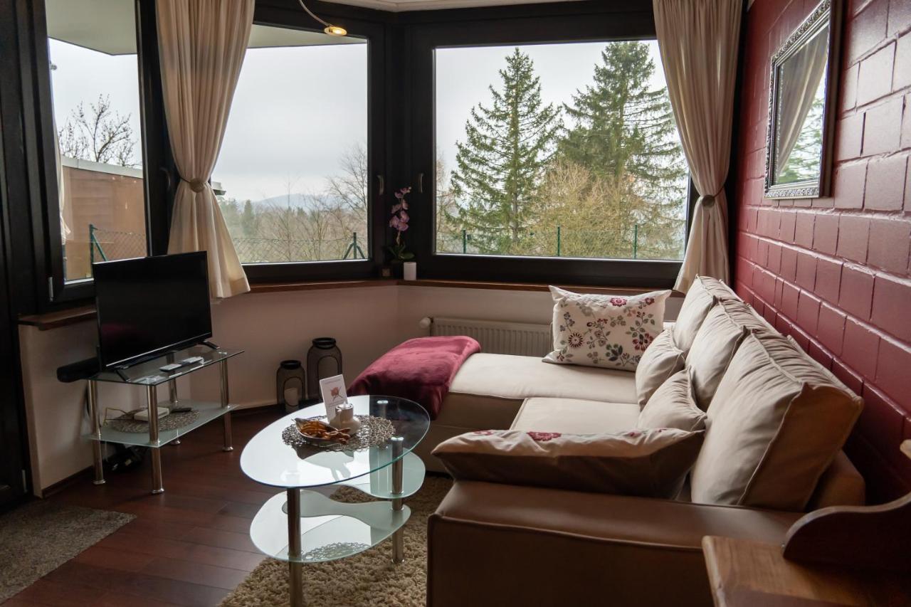 Fewo Harzer Weitblick, Hunde Willkommen, W-Lan, 2X Smart Tv, Dtv 4 Sterne, 4 Pfoten Braunlage Buitenkant foto