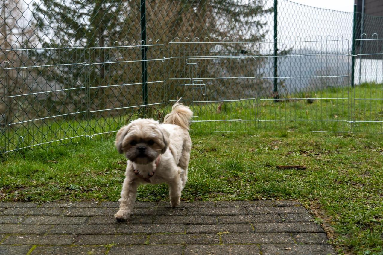 Fewo Harzer Weitblick, Hunde Willkommen, W-Lan, 2X Smart Tv, Dtv 4 Sterne, 4 Pfoten Braunlage Buitenkant foto