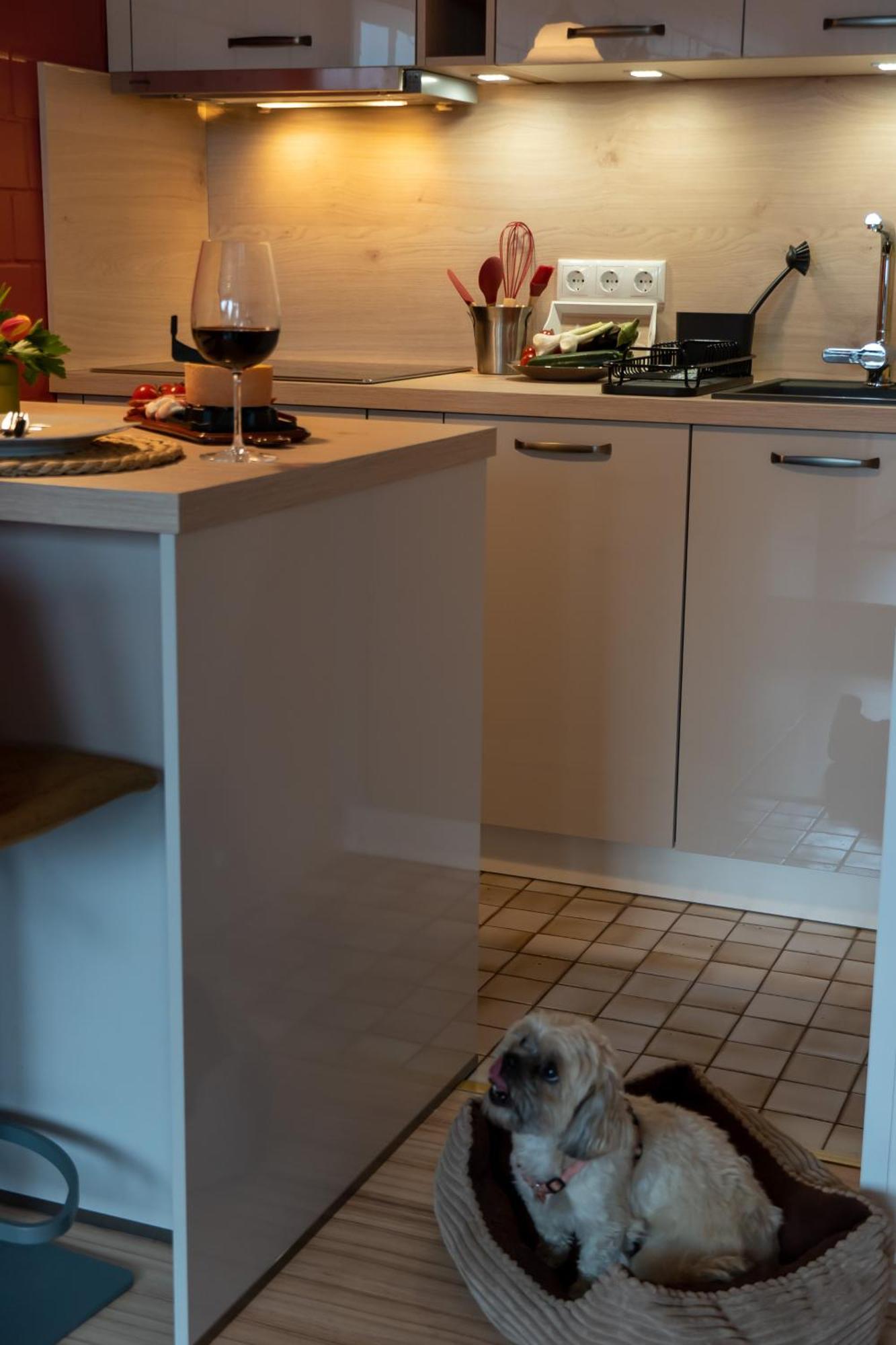 Fewo Harzer Weitblick, Hunde Willkommen, W-Lan, 2X Smart Tv, Dtv 4 Sterne, 4 Pfoten Braunlage Buitenkant foto